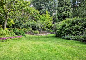 Optimiser l'expérience du jardin à Boissy-le-Sec